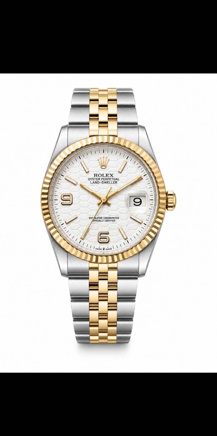 Luxury Two-Tone Stainless Steel Men's Watch