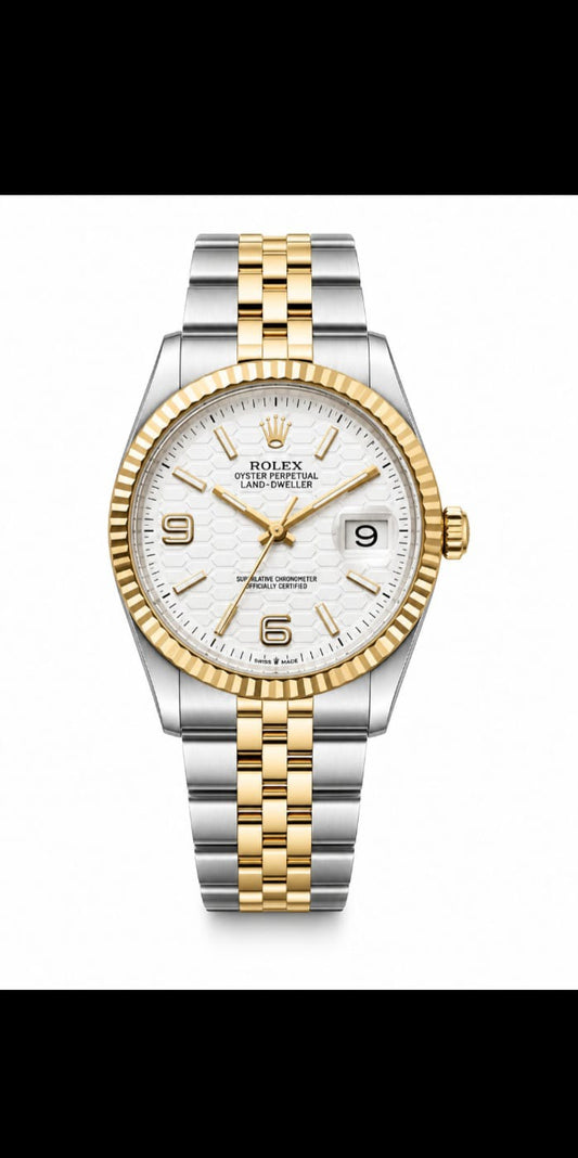 Luxury Two-Tone Stainless Steel Men's Watch